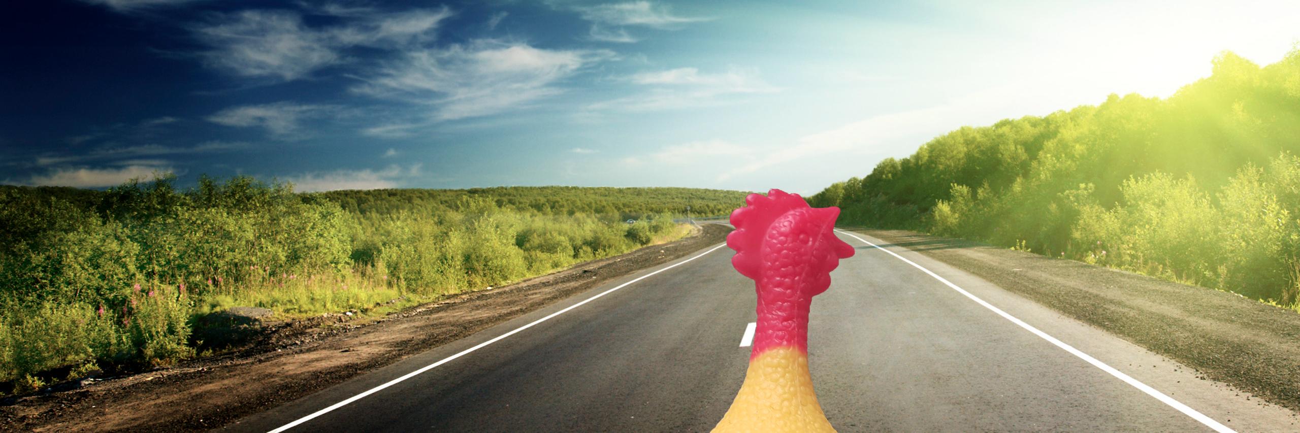 FinElPollo's profile banner image