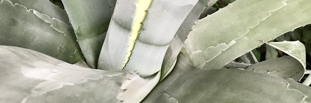 claireredd23's profile banner image