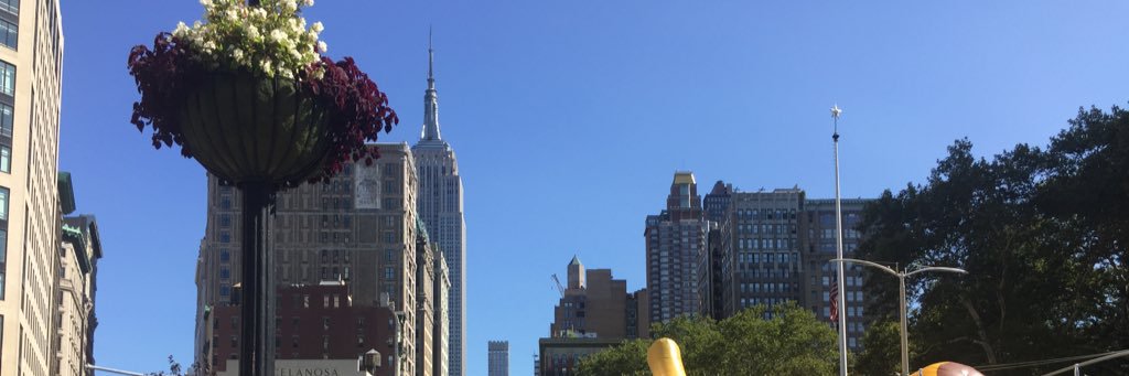 andreaonali's profile banner image