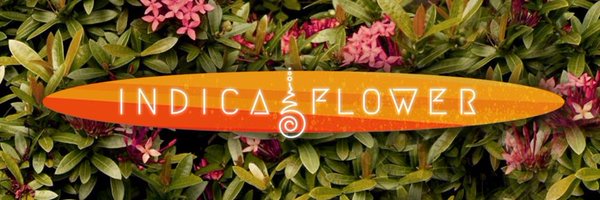 indica flower 🤍✨ Profile Banner