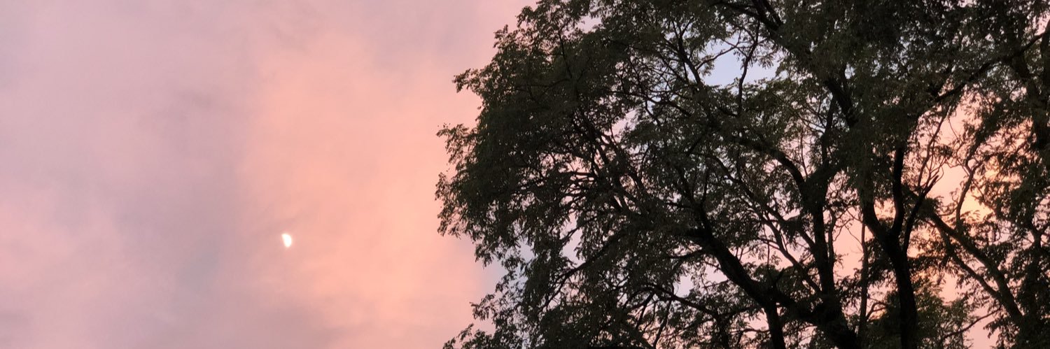 babbyyashhh's profile banner image