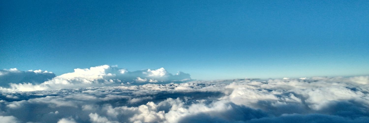 felidiann's profile banner image