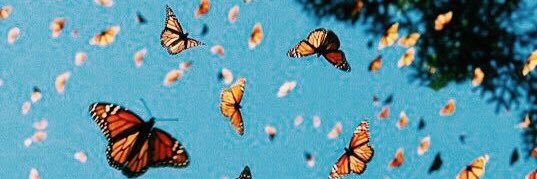 arii23_'s profile banner image
