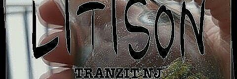 Al_Lity's profile banner image