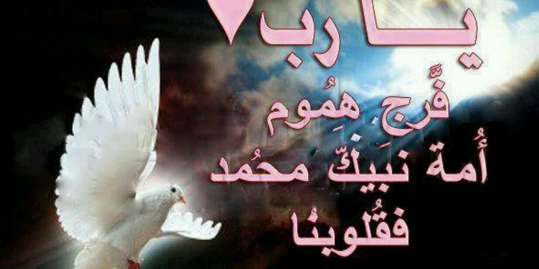 faiza12371's profile banner image