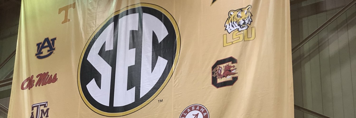 MIZ_HSTrack's profile banner image