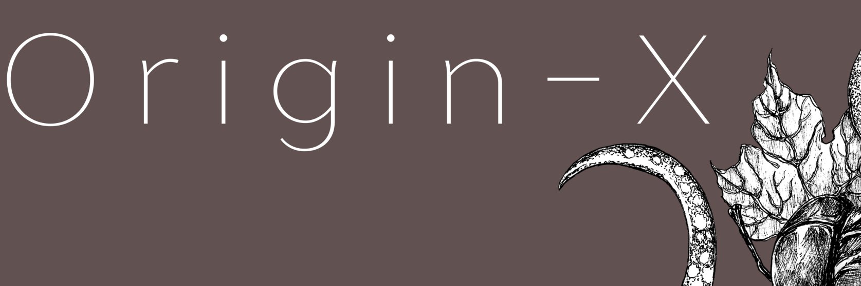 Origin-X banner