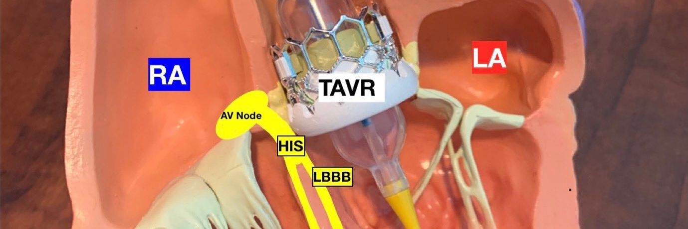 Luiz André Almeida banner