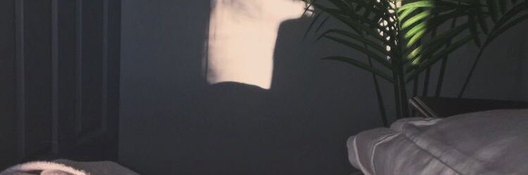 umimiis's profile banner image