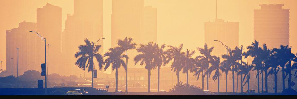 tytywood's profile banner image