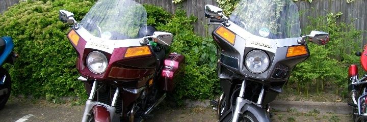 🏍 LynneG #2 (👻 of Mike R., d.2022) banner