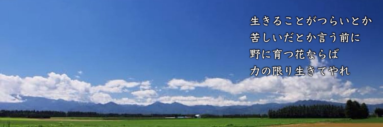 Yoshi_tm2020's profile banner image