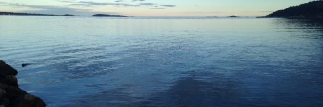 johngbernander's profile banner image