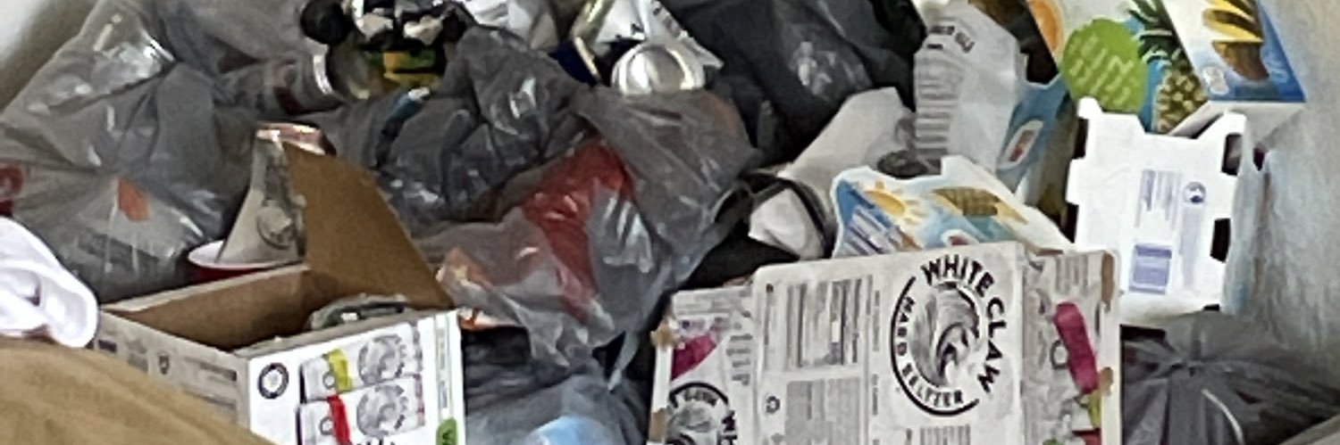 AlleyAL_'s profile banner image