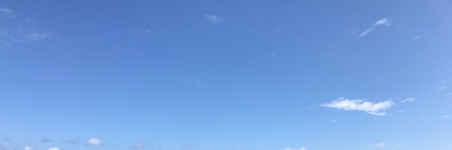 rrwrandolph's profile banner image