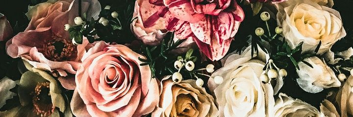 Meli_18987's profile banner image