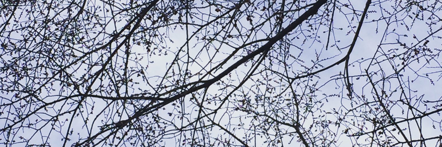 Rachelsobel's profile banner image