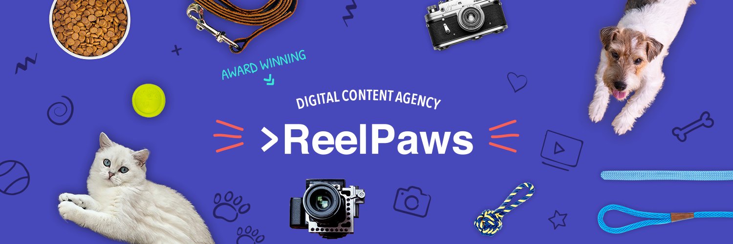ReelPaws's profile banner image
