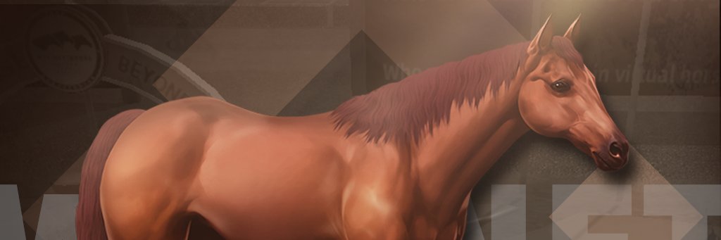 Hamilton67H's profile banner image