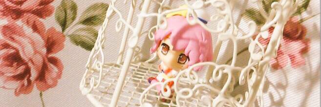 Y__o0's profile banner image