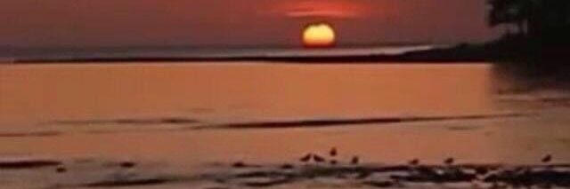 abukhal93201307's profile banner image