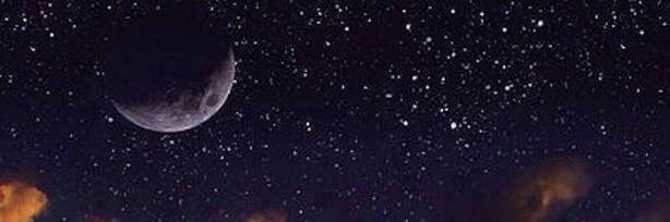 bartforcier's profile banner image
