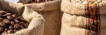 masoudghadimi72's profile banner image