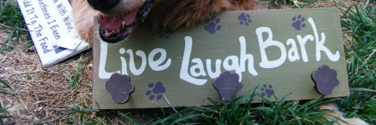 HelenGoldenDog's profile banner image