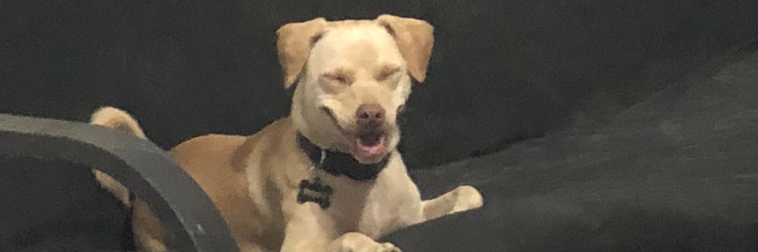 ChadSnow's profile banner image