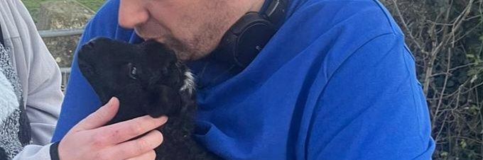 #Ryansreleased banner