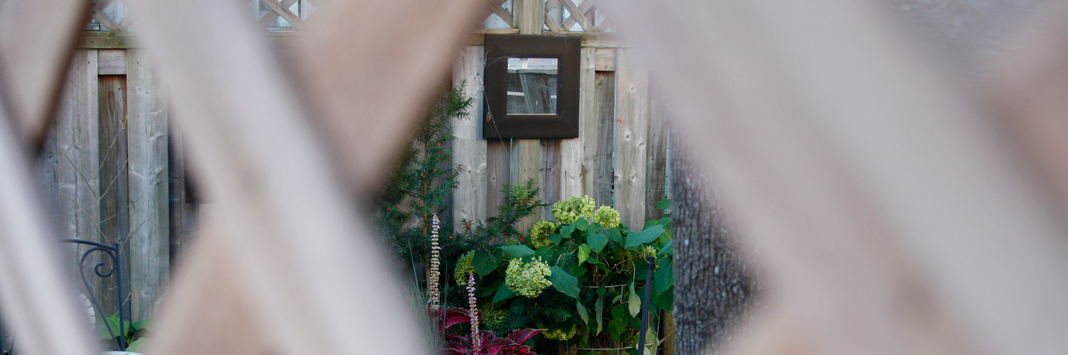 CKDenault's profile banner image
