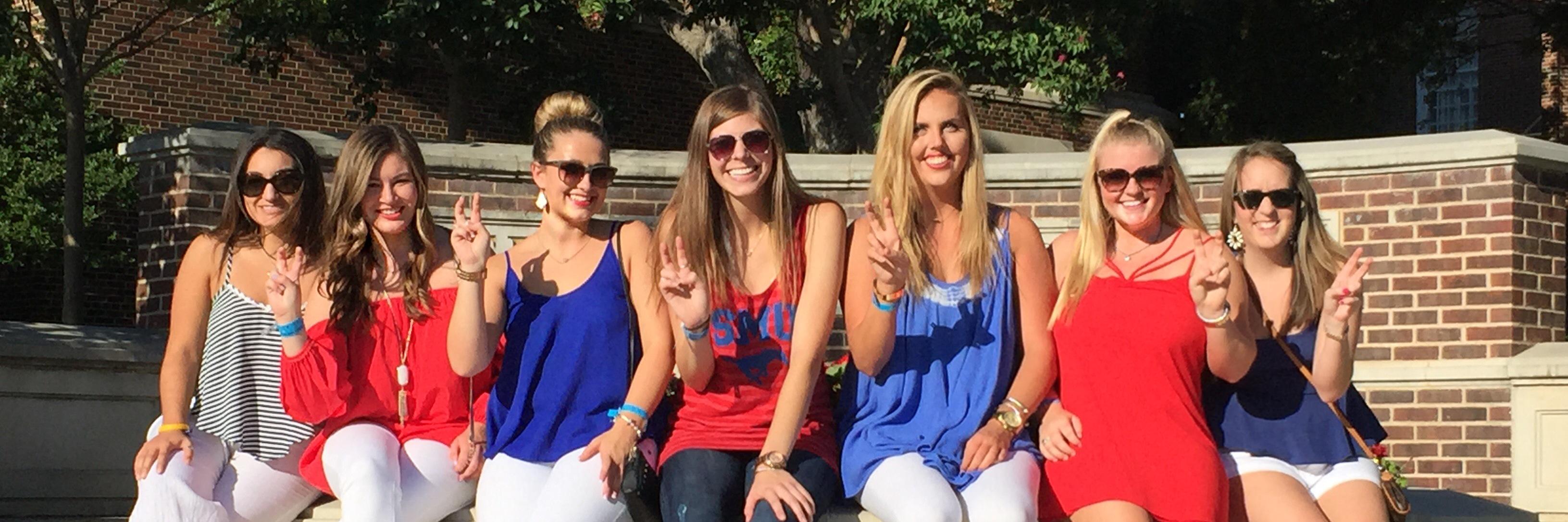 katie_schro's profile banner image