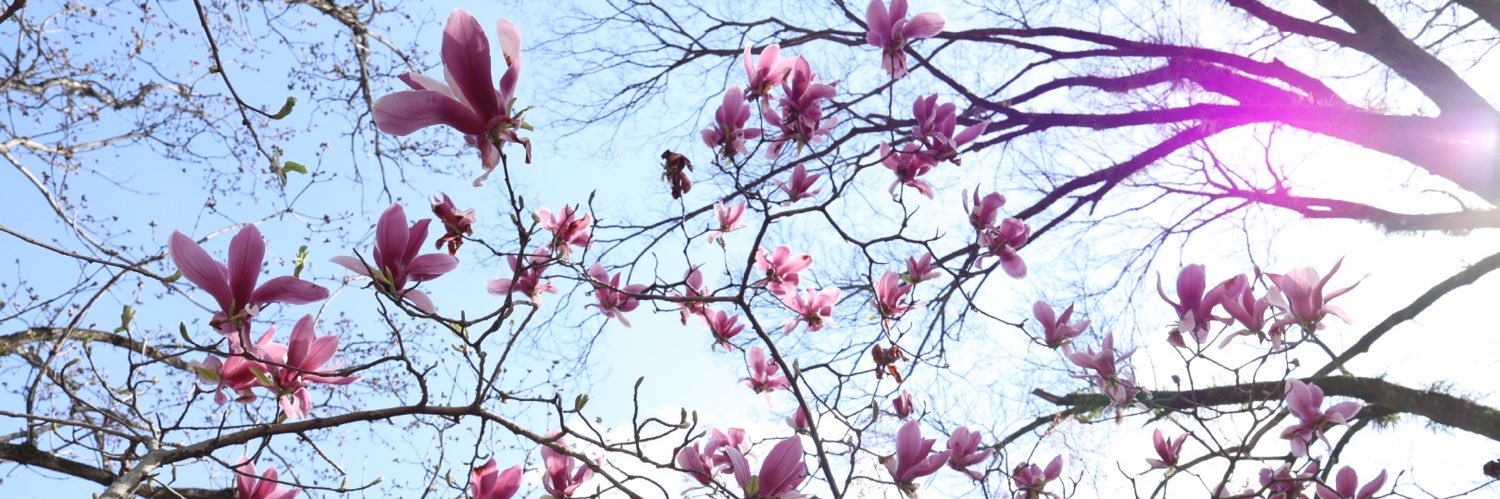 walkplan's profile banner image