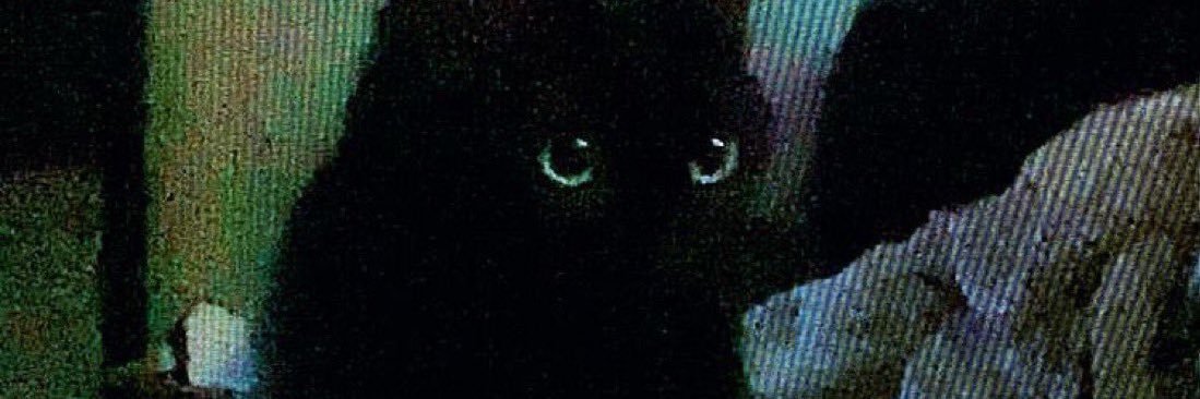 sofiamgomeza's profile banner image
