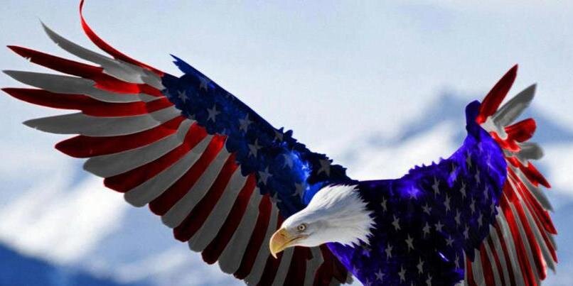 ObamaScrewsYou's profile banner image
