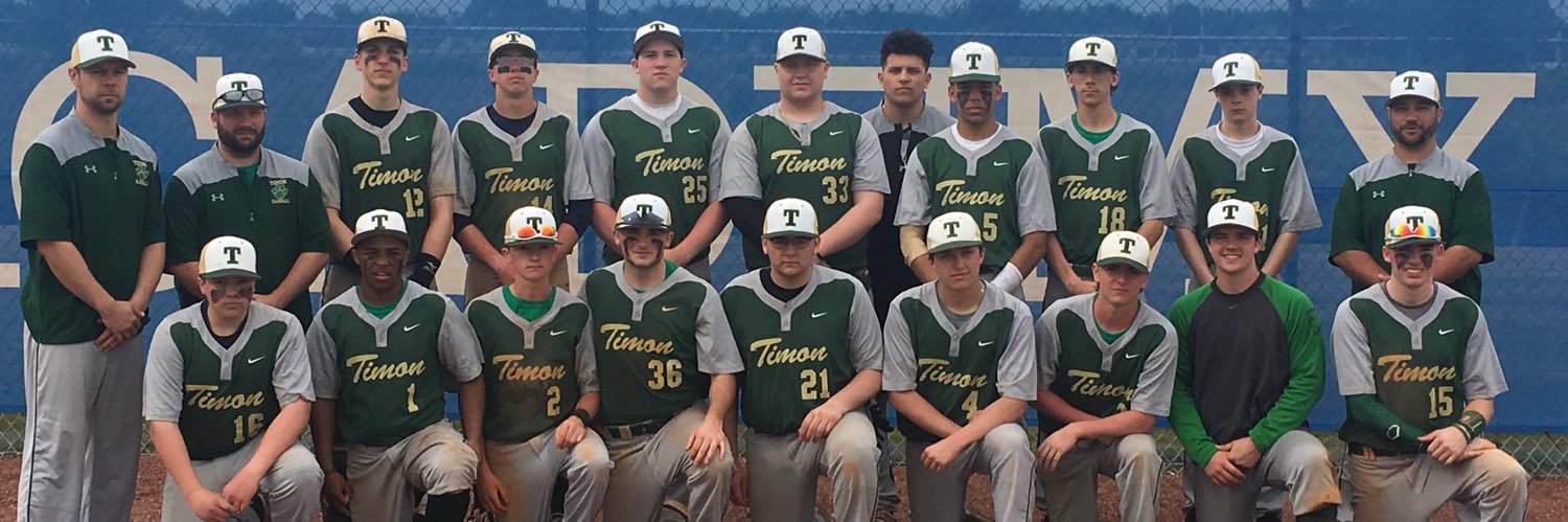 Timon Baseball banner