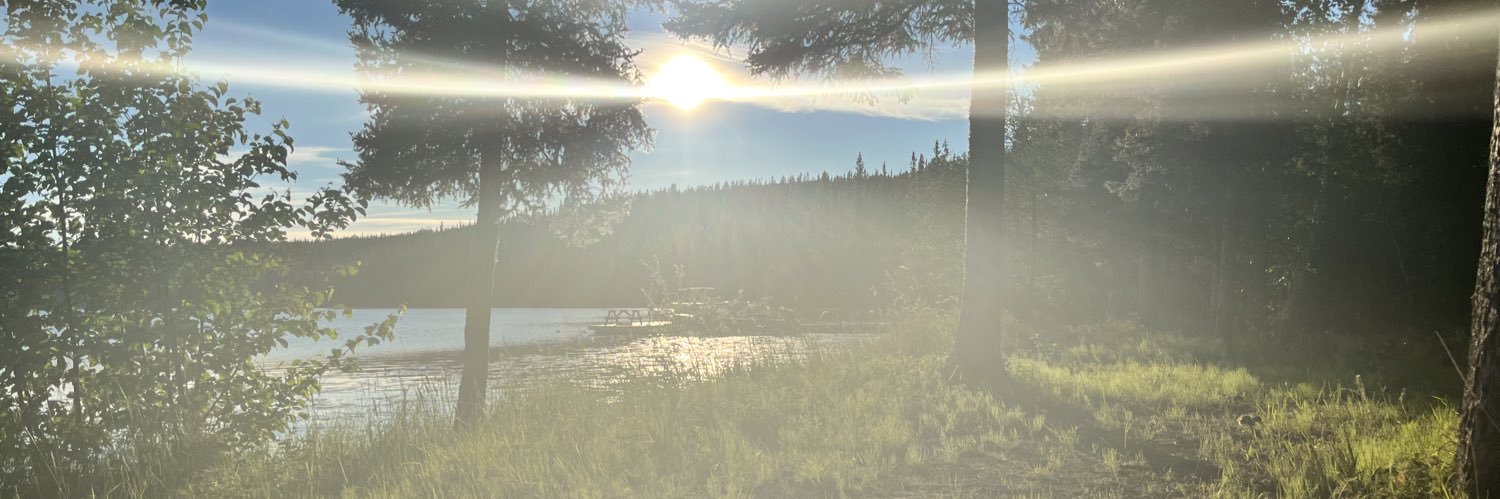alihkincaid's profile banner image