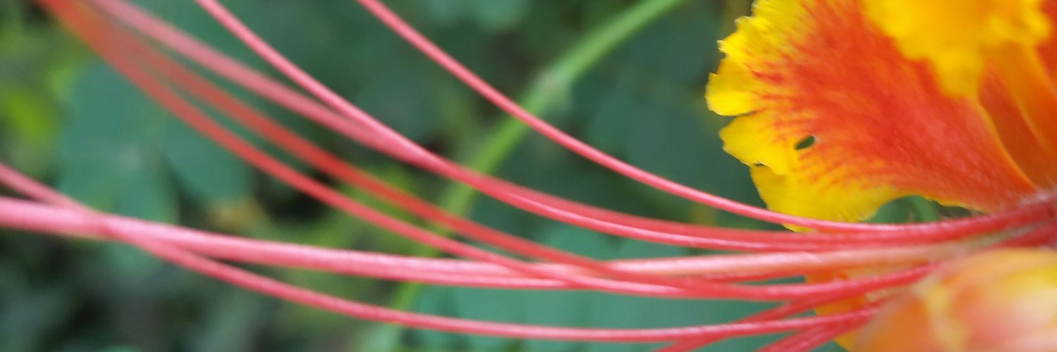 Dharmu0123's profile banner image