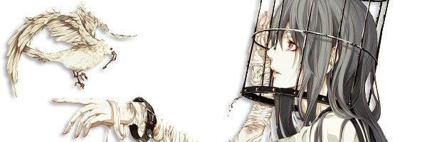 Rauligo94's profile banner image