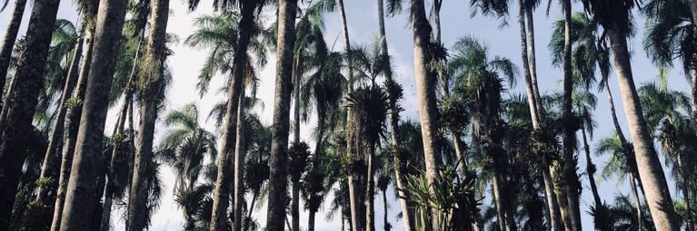 Hellen_Chin's profile banner image