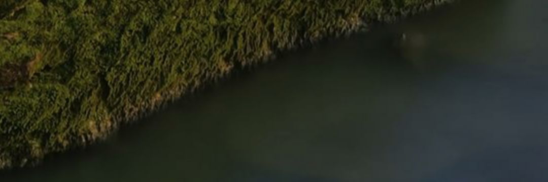 Julian1Pineda's profile banner image