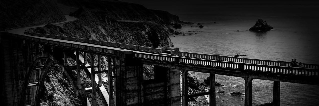 lmcappucci's profile banner image