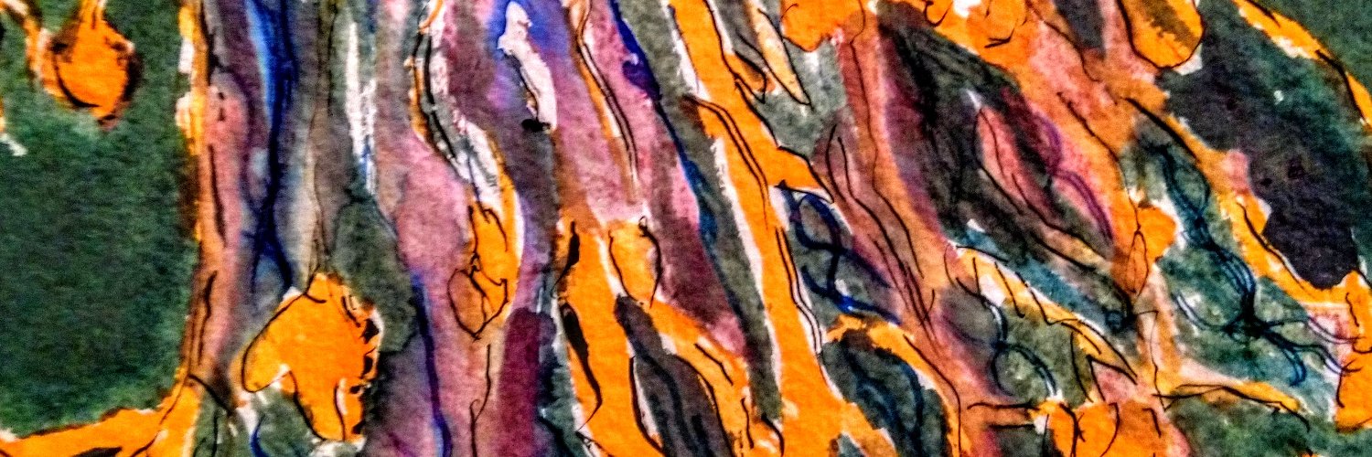 anjidc's profile banner image