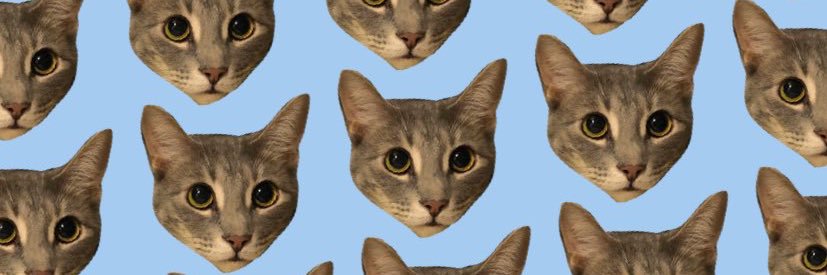 cassiegloss's profile banner image