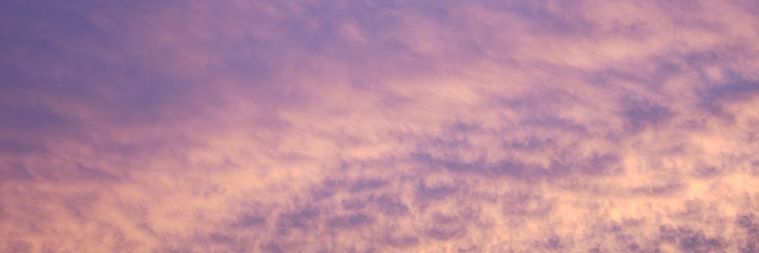 letianjoss's profile banner image