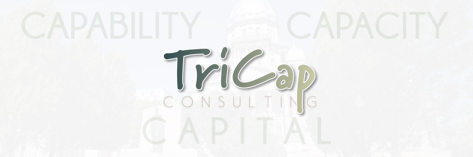 TriCapConsult's profile banner image