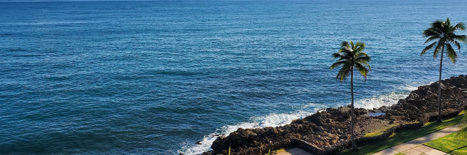 allnaturalmi's profile banner image