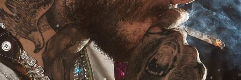 _electric_cat's profile banner image