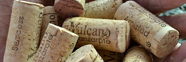 Bodegavulcano's profile banner image