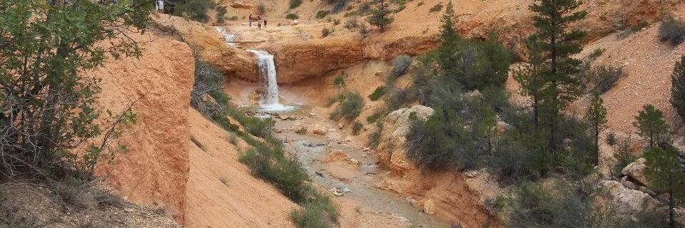 Robert Stapleton banner